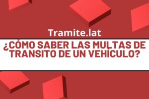 ¿Cómo Saber Las Multas De Transito De Un Vehículo en Bolivia?