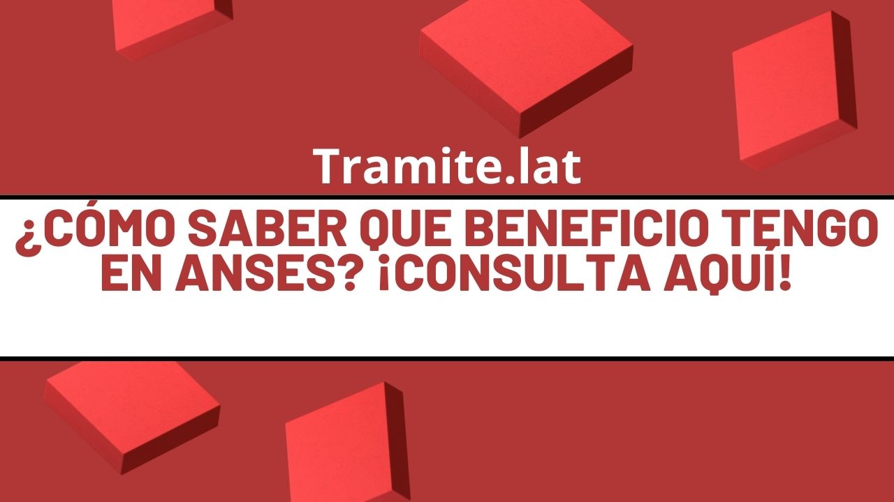 Como-Saber-Que-Beneficio-Tengo-En-ANSES-Consulta-Aqui