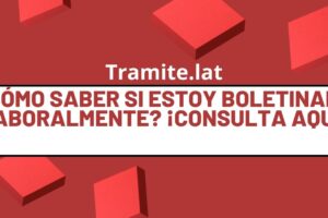 ¿Cómo Saber Si Estoy Boletinado Laboralmente en México? Guía completa