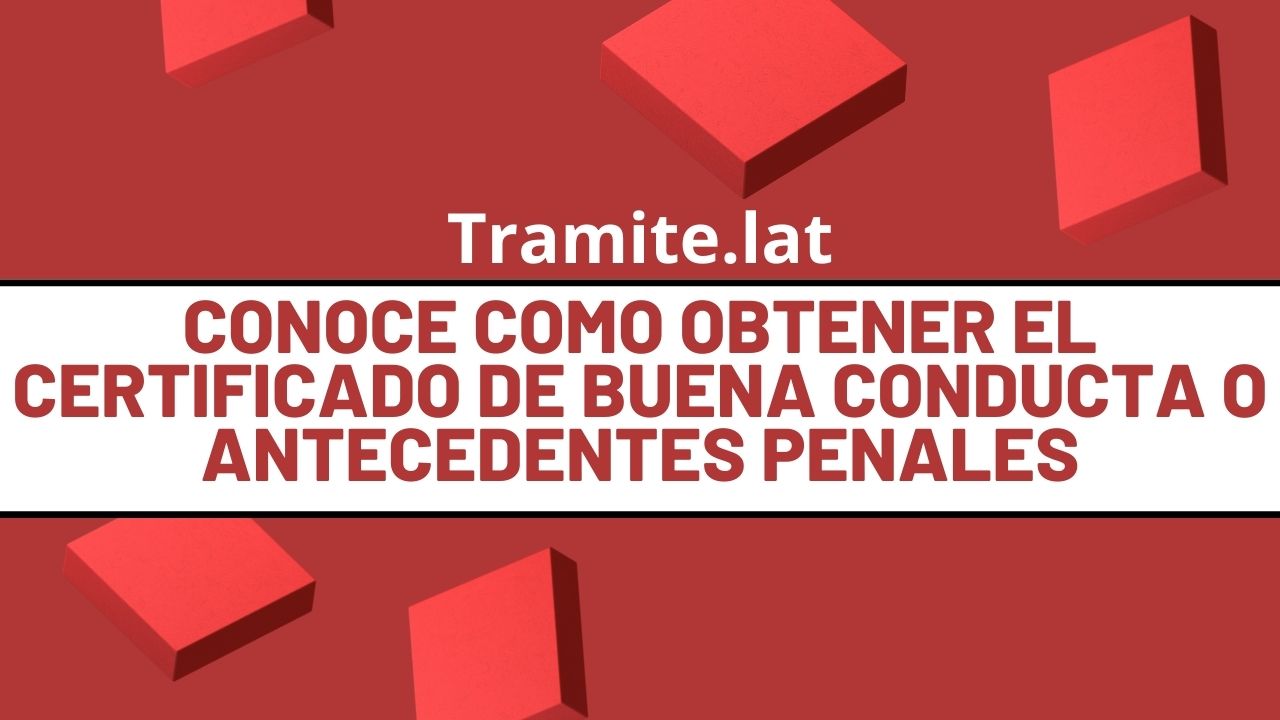 Conoce Como Obtener El Certificado De Buena Conducta O Antecedentes Penales