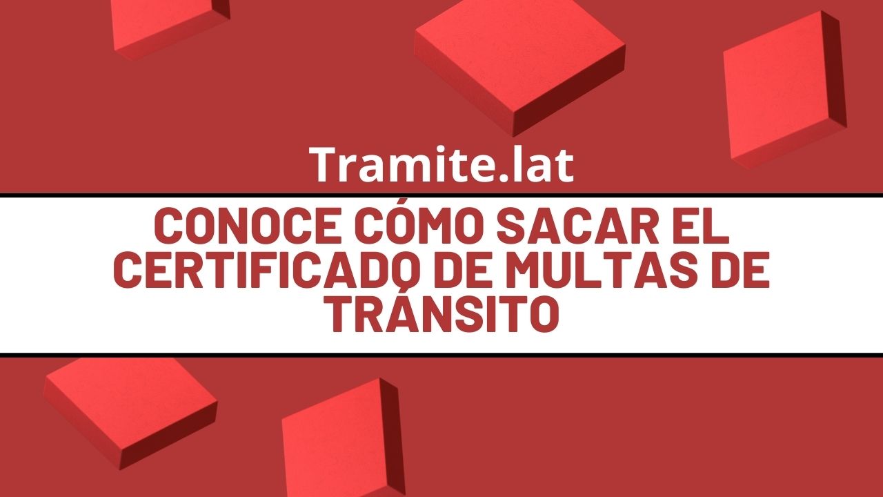 Conoce Cómo Sacar El Certificado De Multas De Tránsito