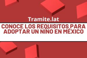 Conoce Los Requisitos Para Adoptar Un Niño En México