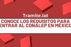 Conoce Los Requisitos Para Entrar Al CONALEP En México