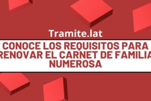 Conoce Los Requisitos Para Renovar El Carnet De Familia Numerosa