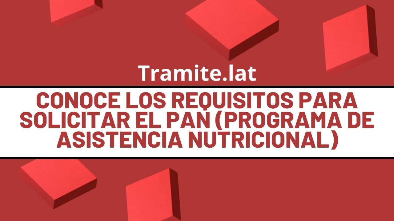 Conoce Los Requisitos Para Solicitar El PAN (Programa De Asistencia Nutricional)