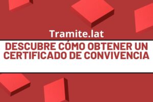 Descubre Cómo Obtener Un Certificado De Convivencia