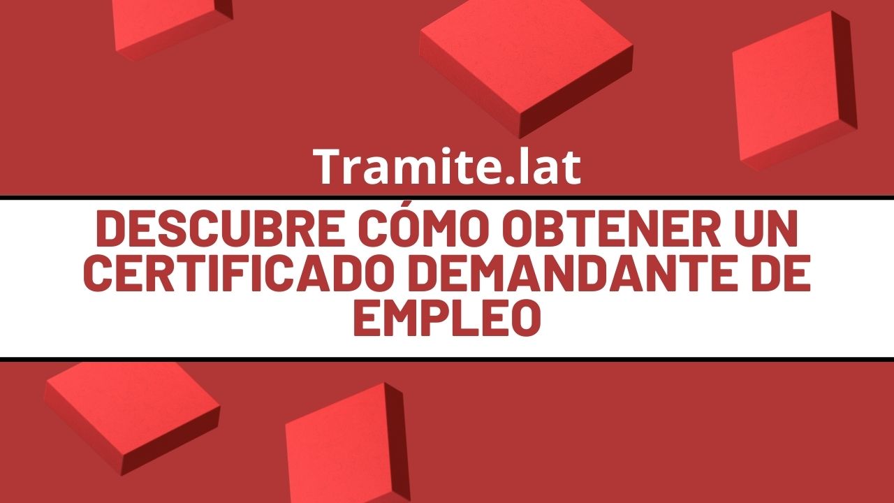 Descubre-Como-Obtener-Un-Certificado-Demandante-De-Empleo