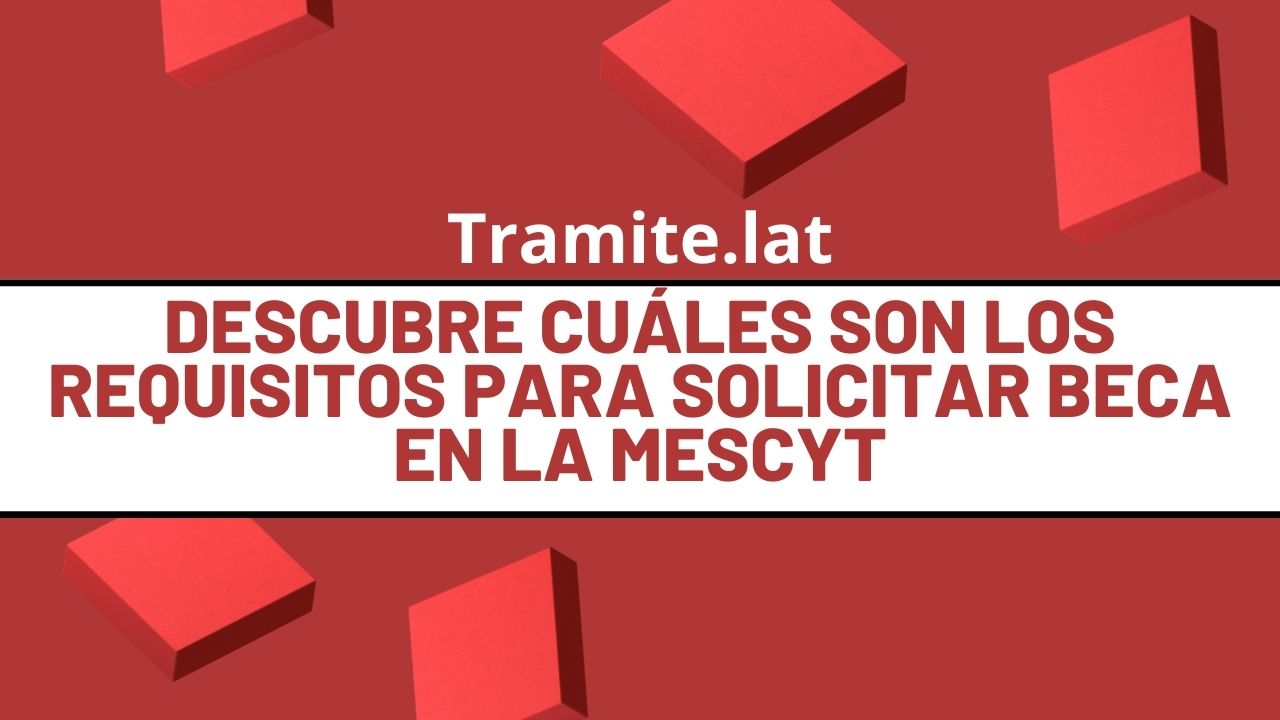 Descubre-Cuales-Son-Los-Requisitos-Para-Solicitar-Beca-En-La-Mescyt