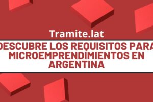 Descubre Los Requisitos Para Microemprendimientos En Argentina