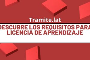 Descubre los Requisitos Para Licencia De Aprendizaje